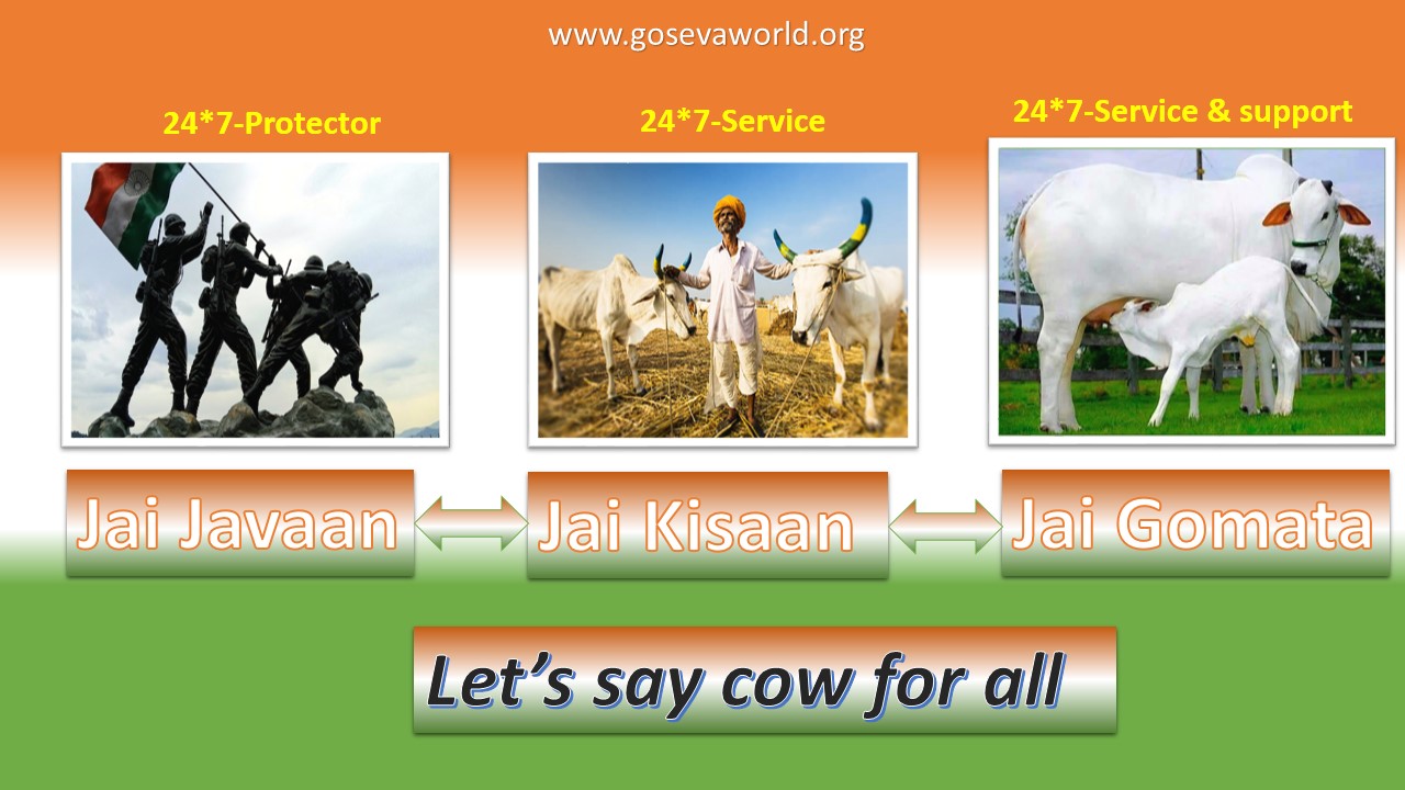 Slide6