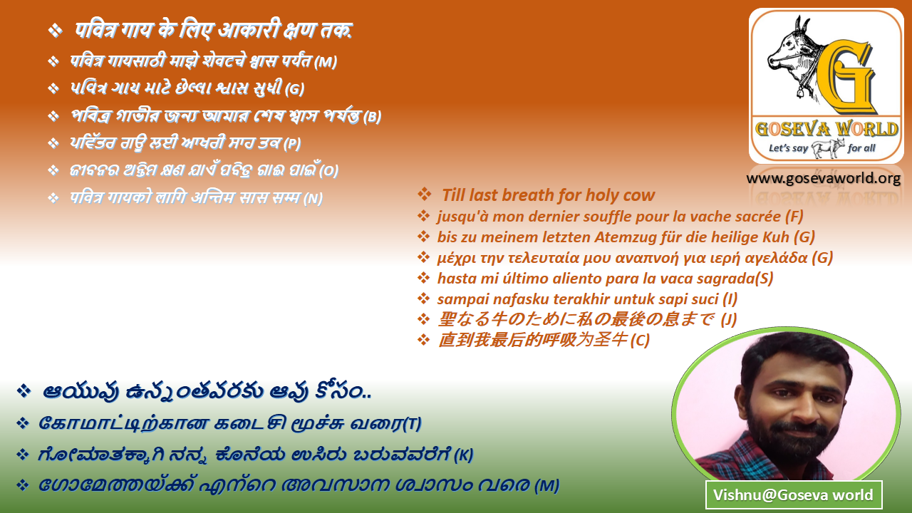 why goseva world special -eng